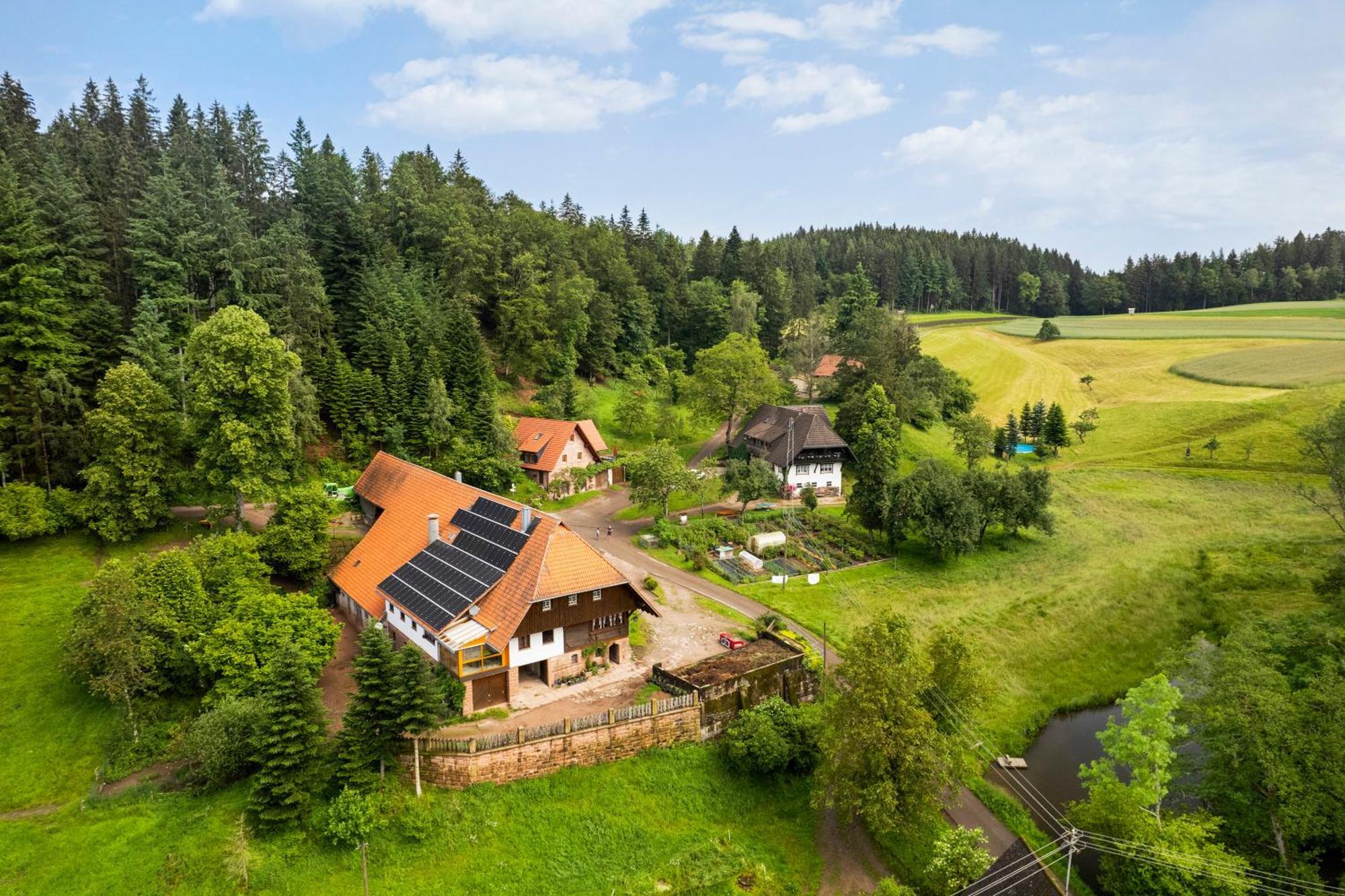 Hexenhaeuschen Villa Wolfach Eksteriør billede