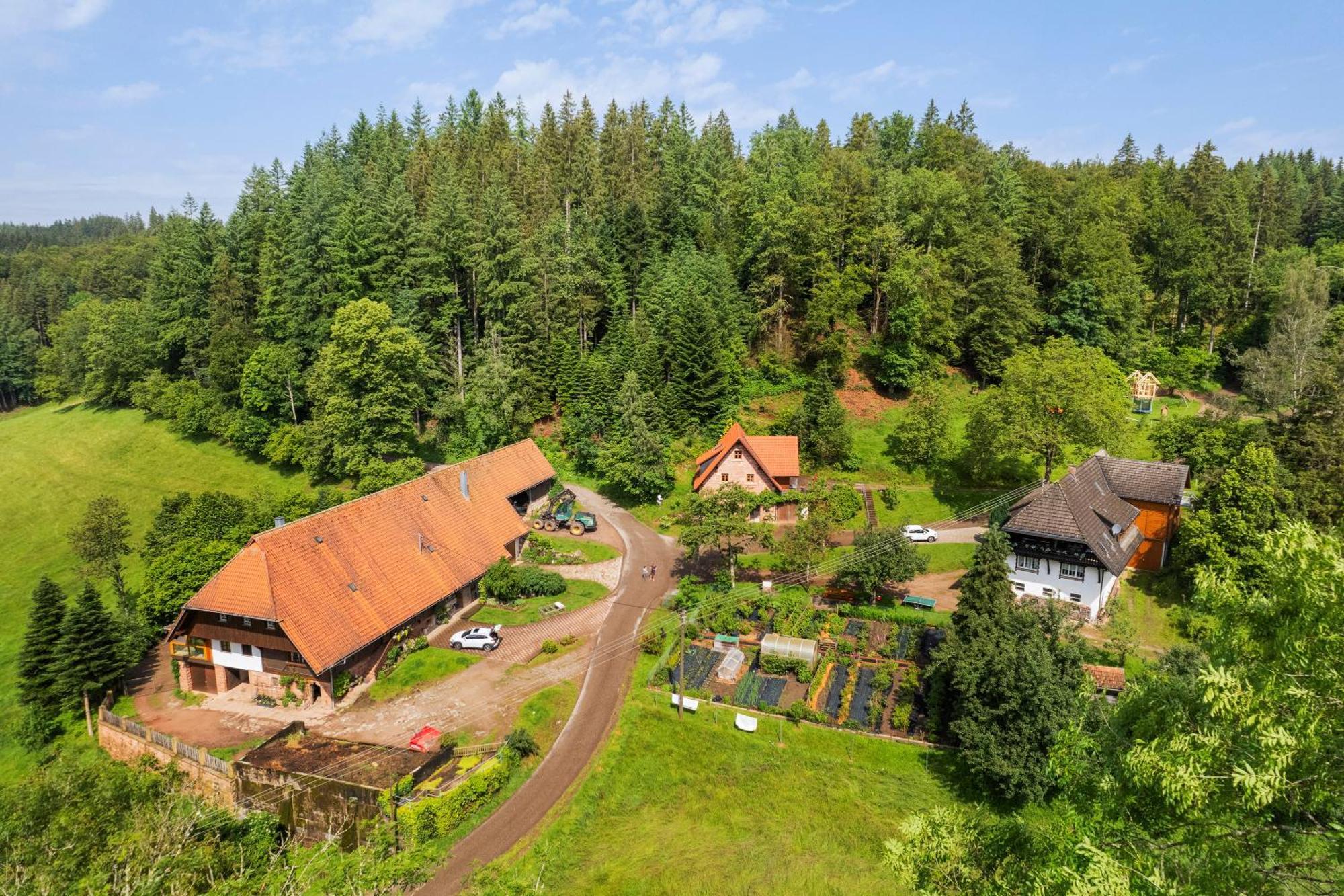 Hexenhaeuschen Villa Wolfach Eksteriør billede